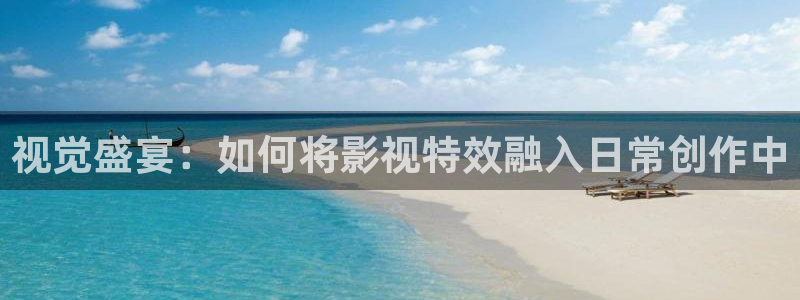 斑马系统观致