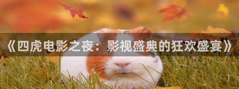 斑马限定：《四虎电影之夜：影视盛典的狂欢盛宴》