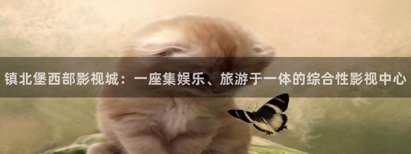 斑马电影韩国在线观看：镇北堡西部影视城：一座集娱乐、旅游于一体的综合性影视中心