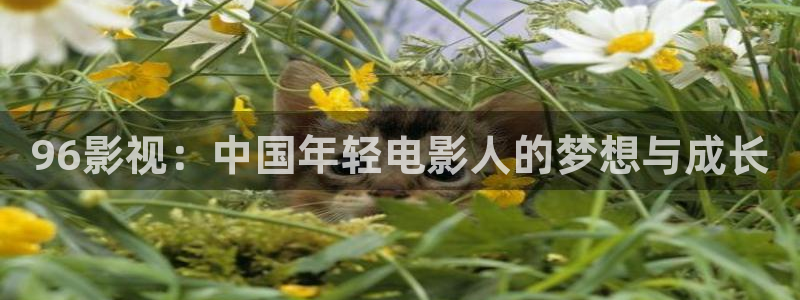 斑马会员最新版本：96影视：中国年轻电影人的梦想与成长