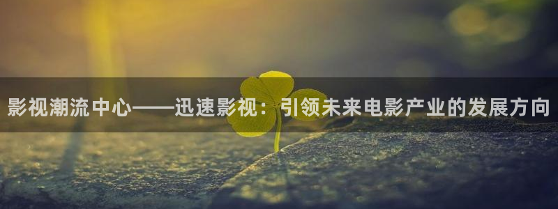彩虹斑马官网