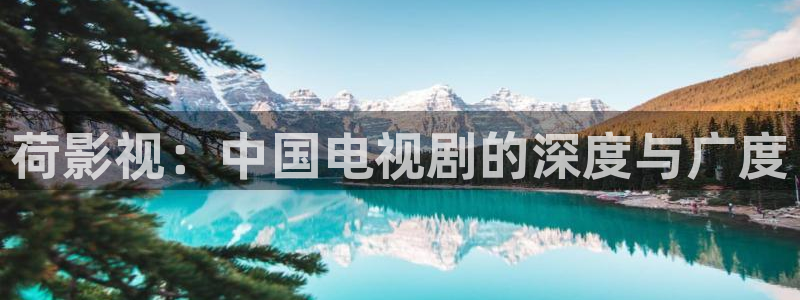 斑马 jj15