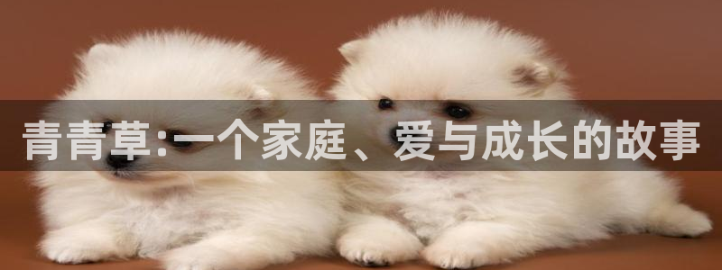 斑马技术有限公司
