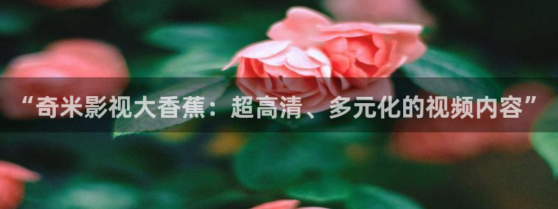 斑马ai4.7：“奇米影视大香蕉：超高清、多元化的视频内容”