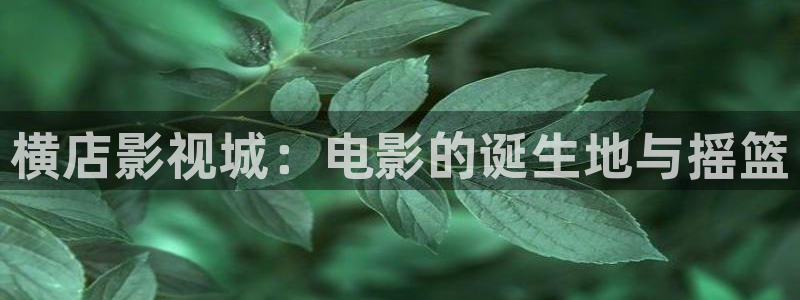 斑马科技有限公司：横店影视城：电影的诞生地与摇篮
