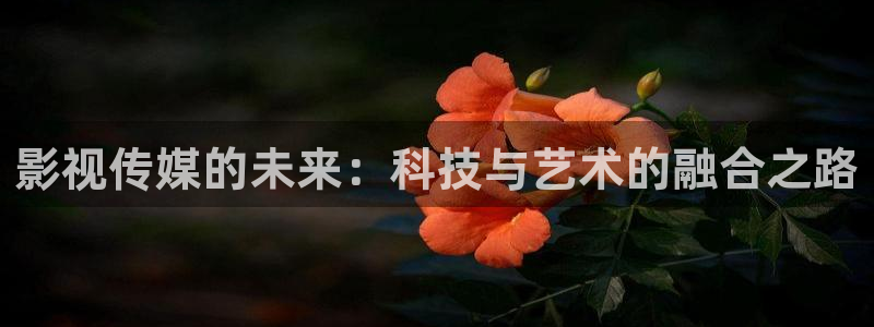 斑马影视下载：影视传媒的未来：科技与艺术的融合之路