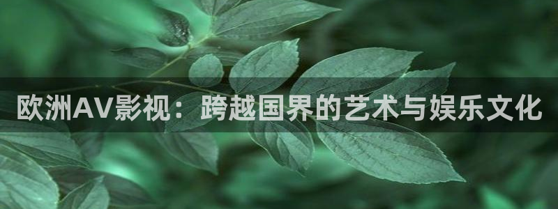 法国斑马电影：欧洲AV影视：跨越国界的艺术与娱乐文化