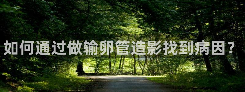 斑马 888tt：如何通过做输卵管造影找到病因？