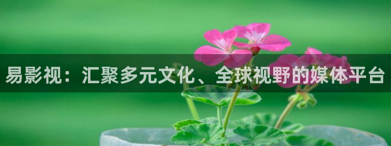 斑马技术有限公司：易影视：汇聚多元文化、全球视野的媒体平台